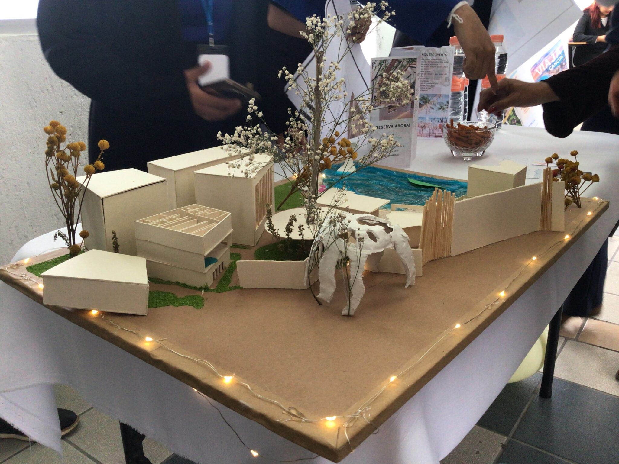 administracion-mercadotecnia-licenciatura