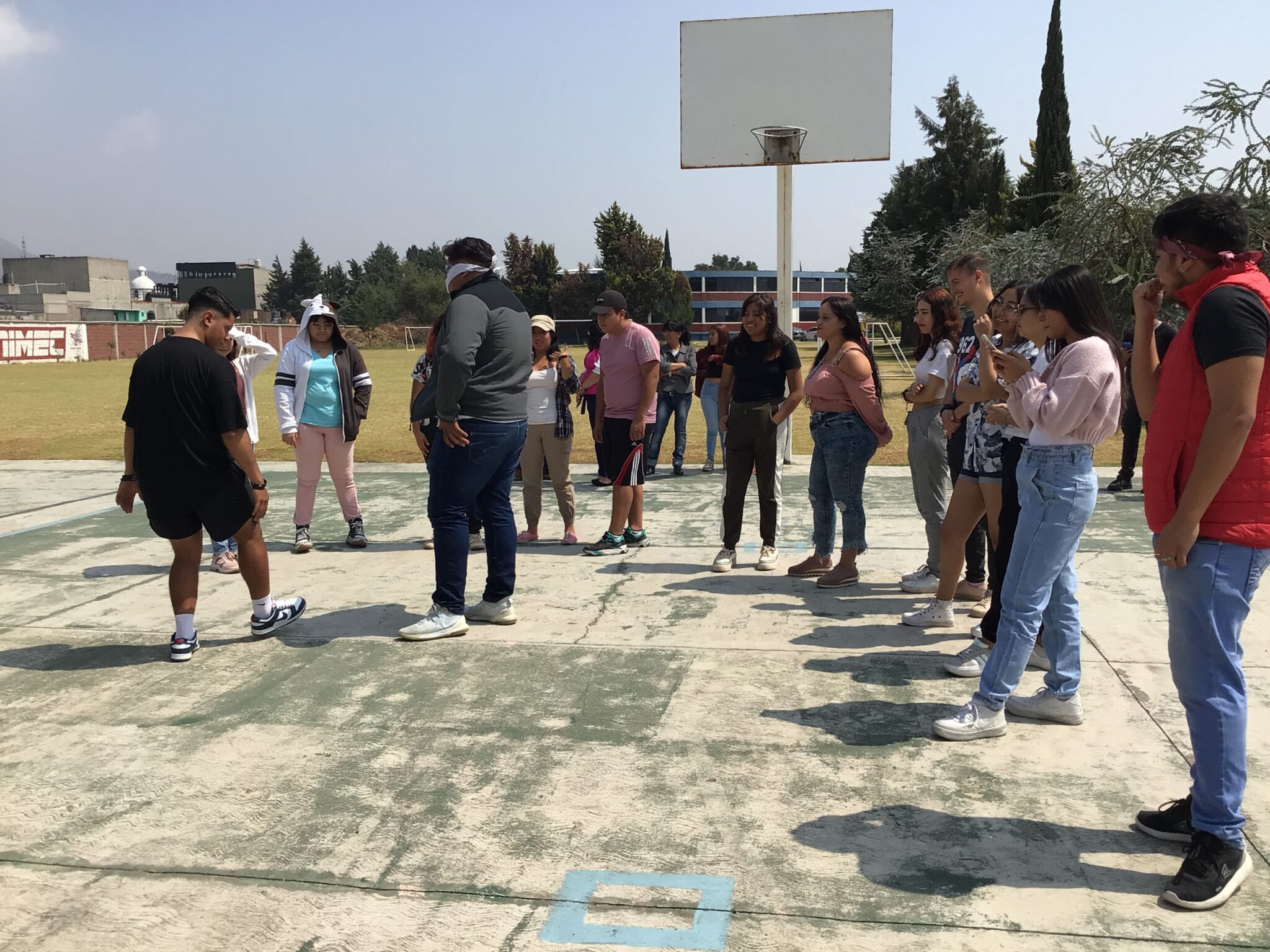 unimec-licenciatura-actividades